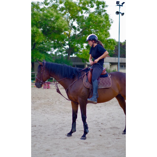 Casque CASCO d'équitation Bi-couleur