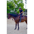 Casque CASCO d'équitation Bi-couleur