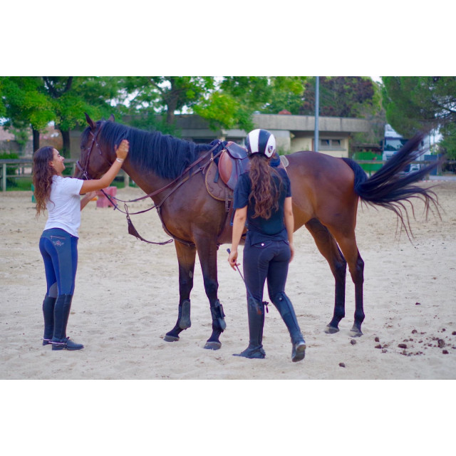 Casque CASCO d'équitation Bi-couleur
