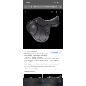 Selle Acavallo modigliani