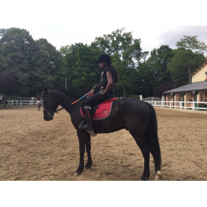 Amortisseur équitation cheval et poney WINNER rouge taille FS