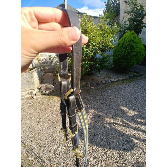 Collier de chasse CSO + martingale