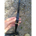 Collier de chasse CSO + martingale