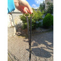 Collier de chasse CSO + martingale