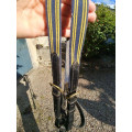 Collier de chasse CSO + martingale