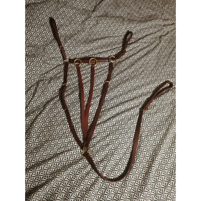 Collier de chasse avec sa martingale
