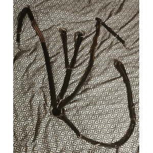 Collier de chasse Protanner avec sa martingale