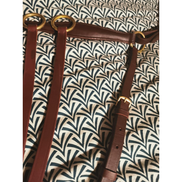 Collier de chasse avec sa martingale