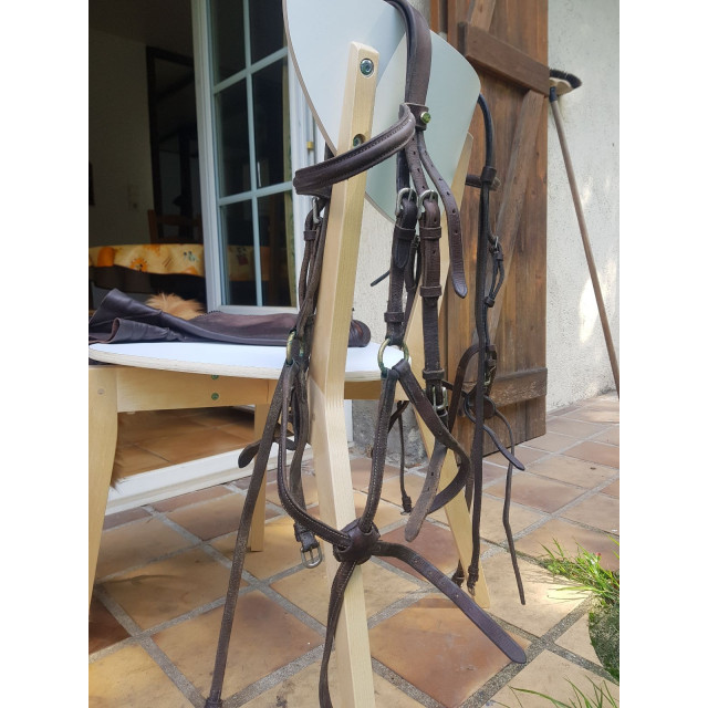 Filet croisé Eric Thomas taille poney