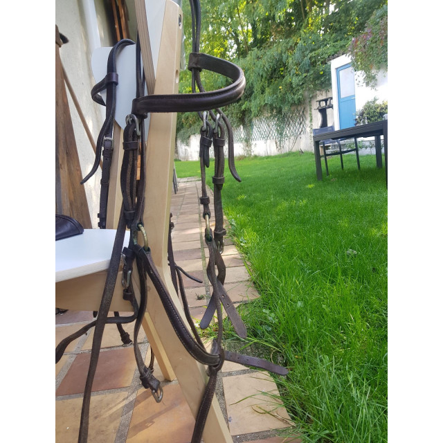 Filet croisé Eric Thomas taille poney