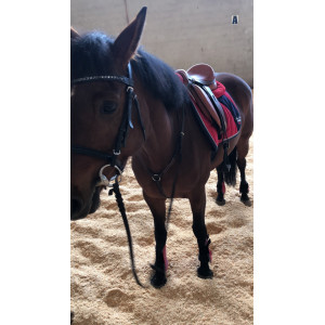 Selle mixte Éric Thomas !