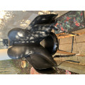 Selle de dressage noire 17