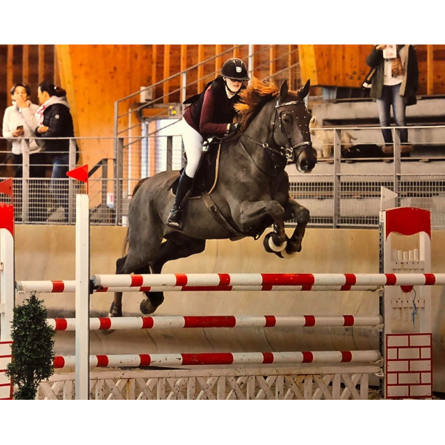 Bridon prestige Meredith