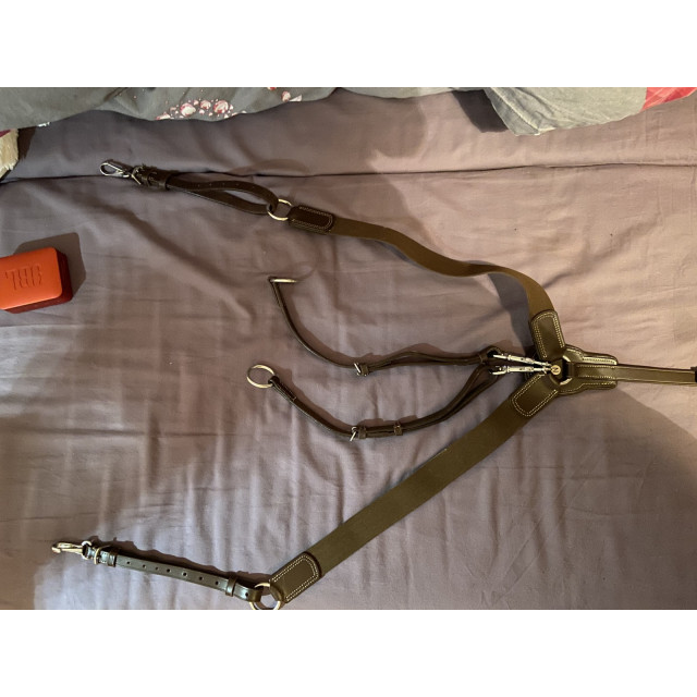 Martingale collier de chasse