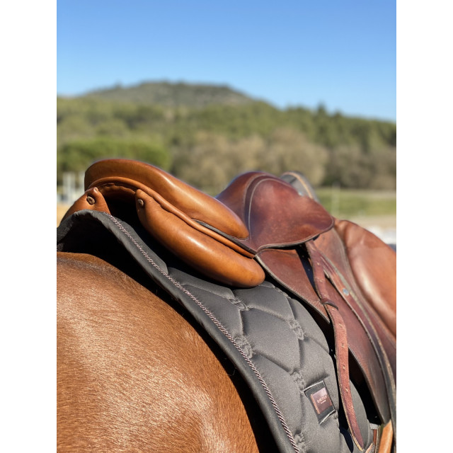 Selle forestier
