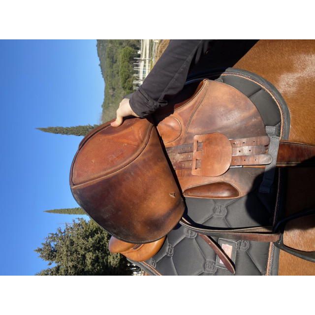 Selle forestier