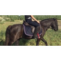 tapis fouganza