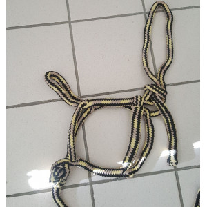 Licol ethologique + longe