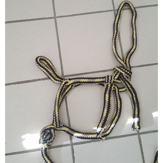 Licol ethologique + longe