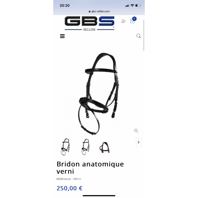 Filet anatomique vernis GBS