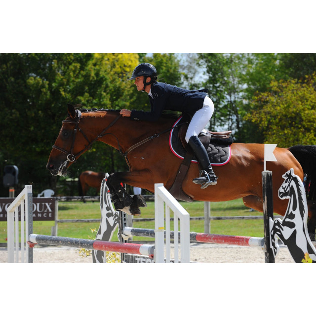 VESTE CONCOURS VESTRUM T36