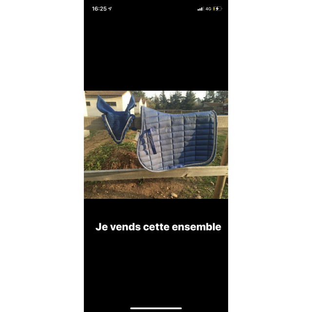 Ensemble