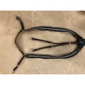 Collier de chasse Antares