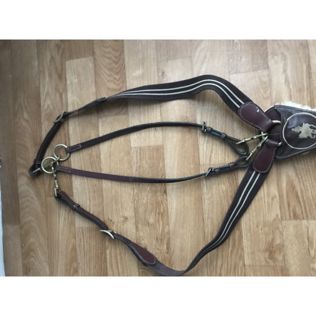 Collier de chasse martingale
