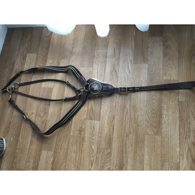 Collier de chasse martingale