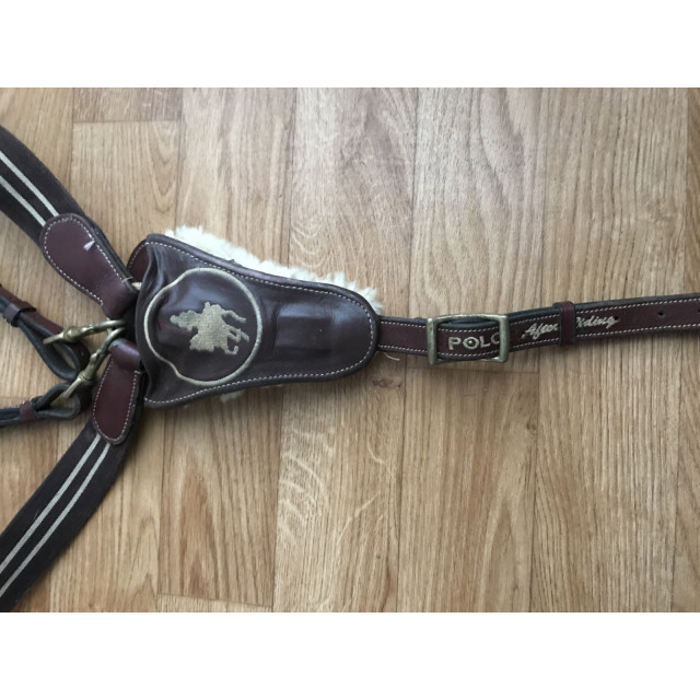 Collier de chasse martingale