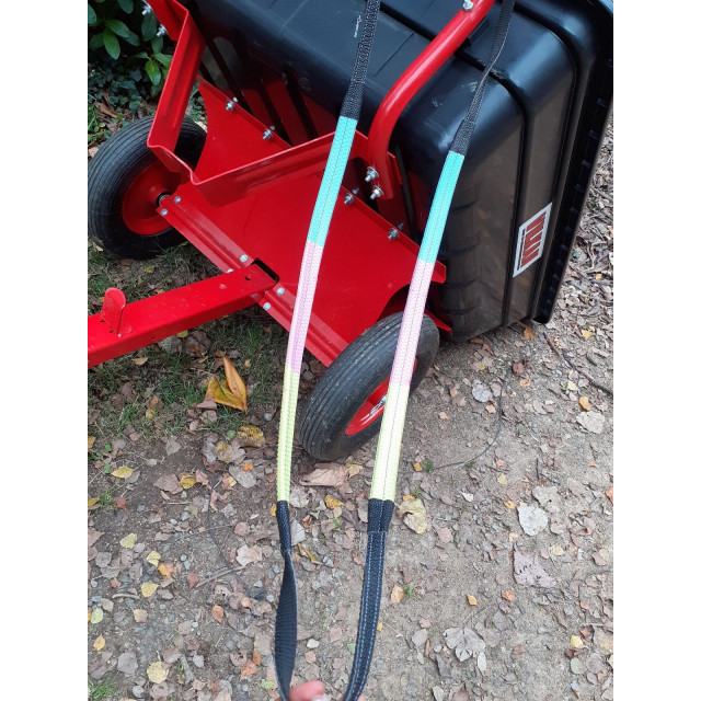 Filet complet+rênes shetland