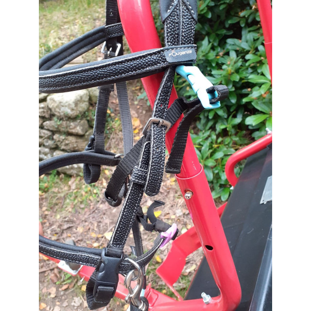 Filet complet+rênes shetland