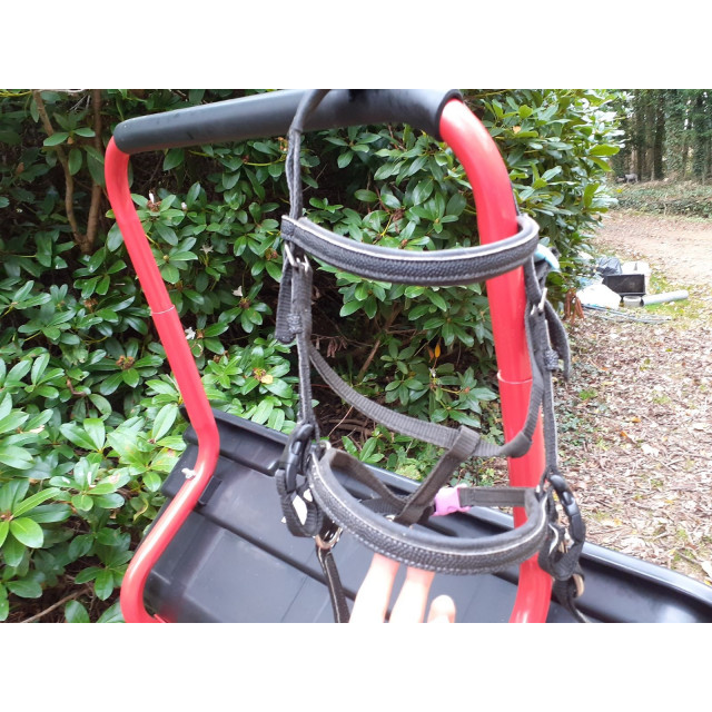 Filet complet+rênes shetland