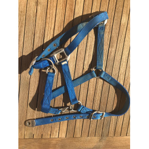 Licol et longe Equithème bleu