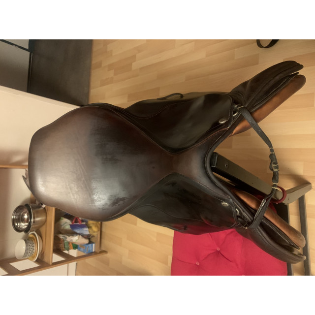 Selle macel