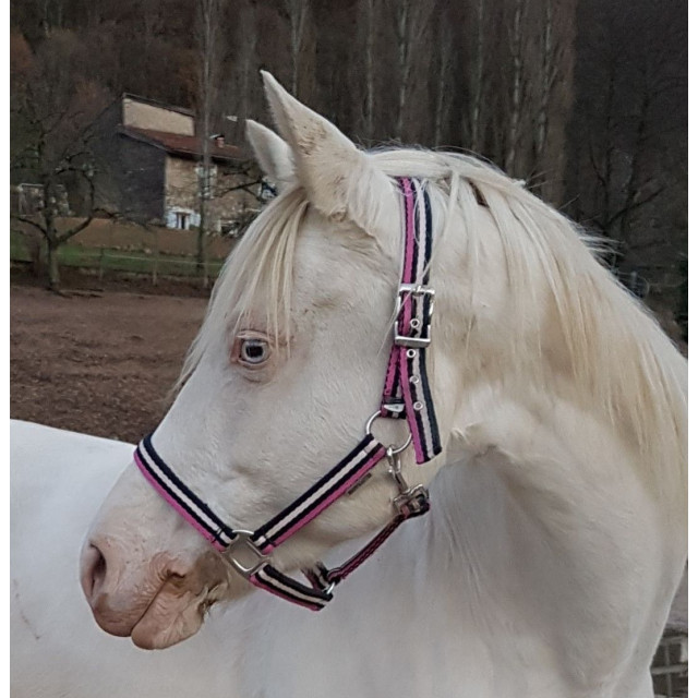 Licol rose/bleu marine/blanc