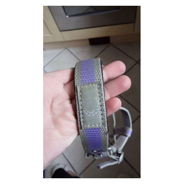 Licol HV POLO