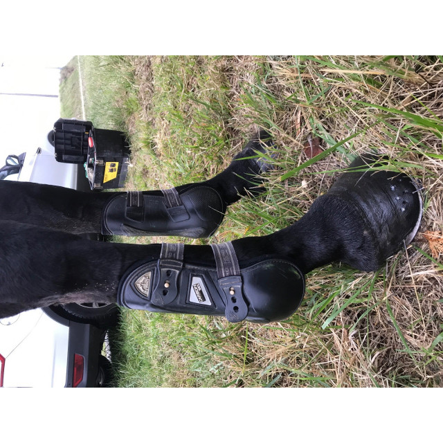 AV Guêtres Veredus noires taille L