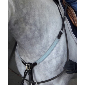 lot bleu ciel/turquoise taille cheval/cob