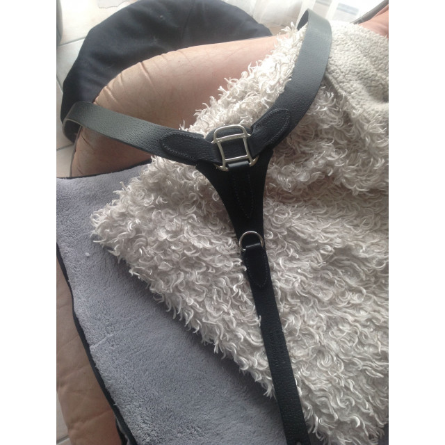 Collier de Chasse Devoucoux