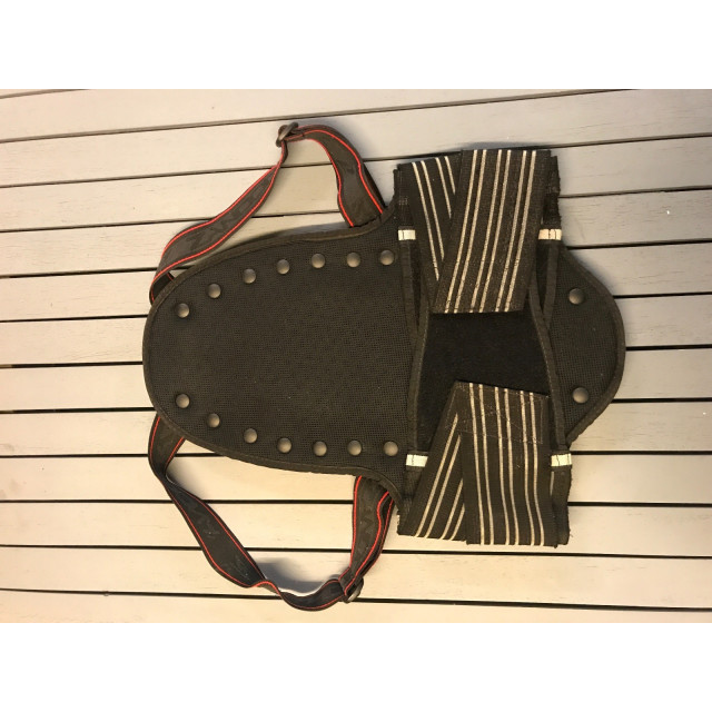 Protection dorsale Zandona