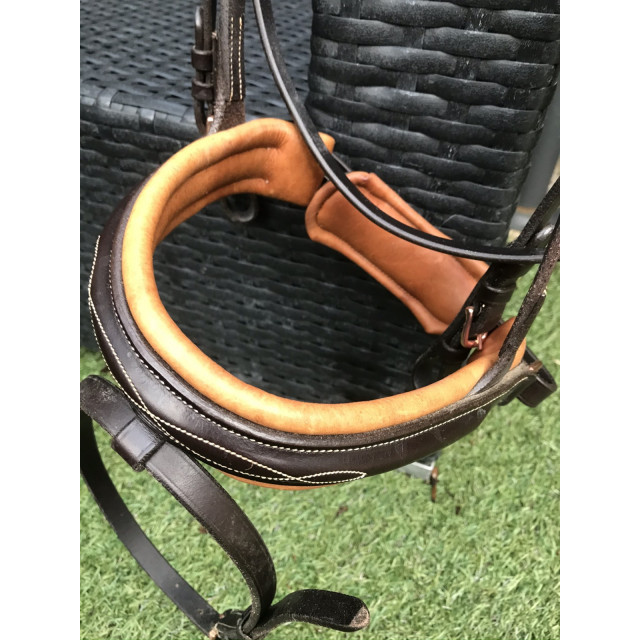 Filet bridon complet