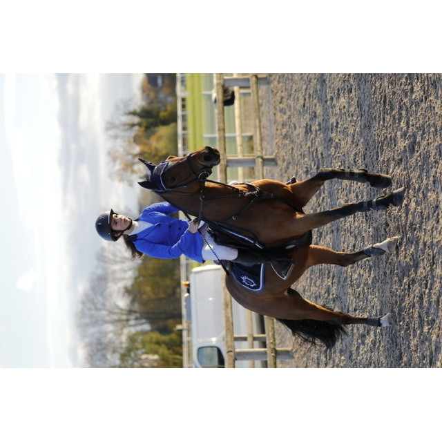 Veste de concours bleu roi MVM