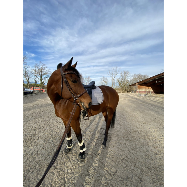 Tapis dressage Equitheme