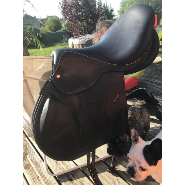 Selle Hervé godignion