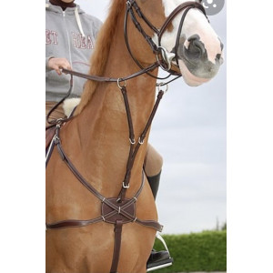 Collier de chasse 5 points Dyon