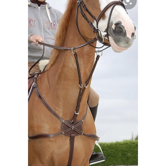 Collier de chasse 5 points Dyon