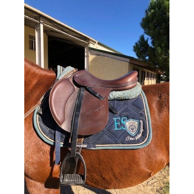 Selle d'obstacle Equipe