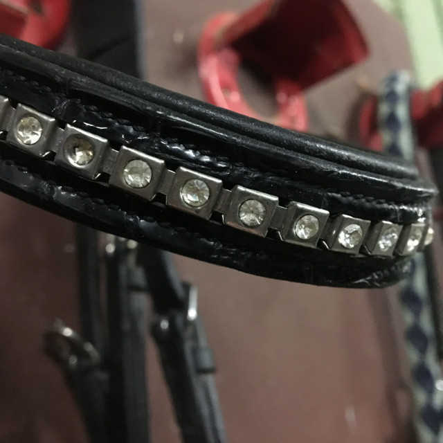 Filet musserole pull-back vernis croco