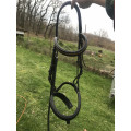 Bridon noir cob